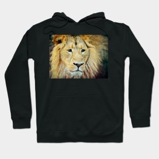 Still The King Hoodie